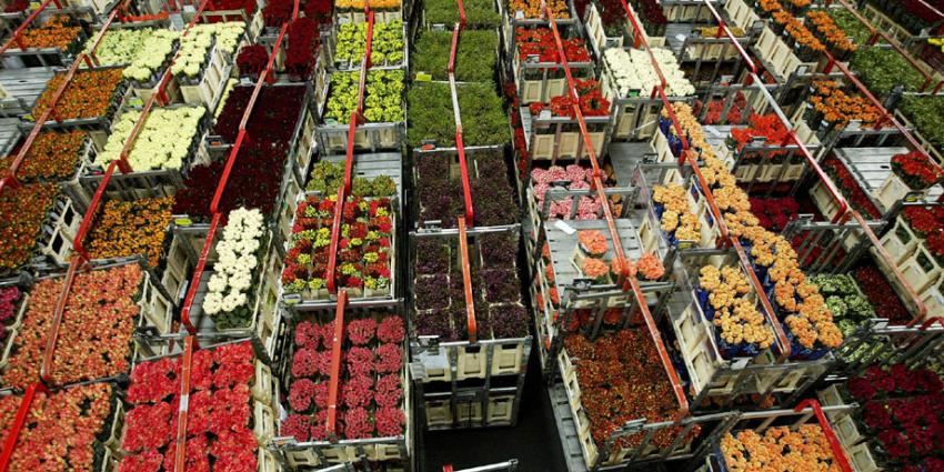 export landbouwgoederen, stijgen, recordwaarde