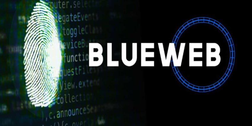 blueweb-politie-tweakers