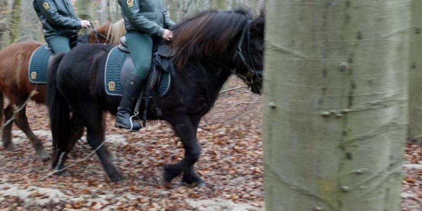 Groene BOA’s zien criminaliteit toenemen