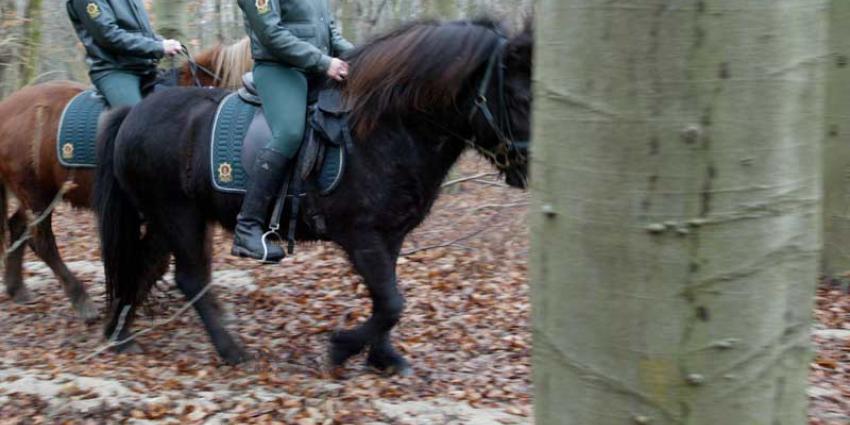 Groene BOA’s zien criminaliteit toenemen