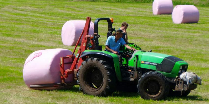 Boer druk met 'marshmallows'