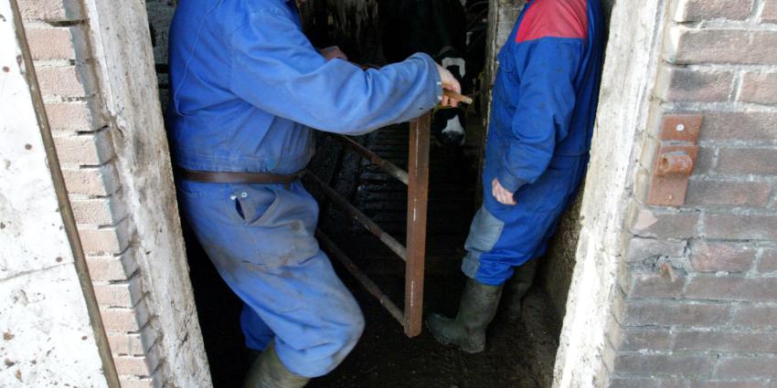 Nederland telt ruim 106.000 miljonairs