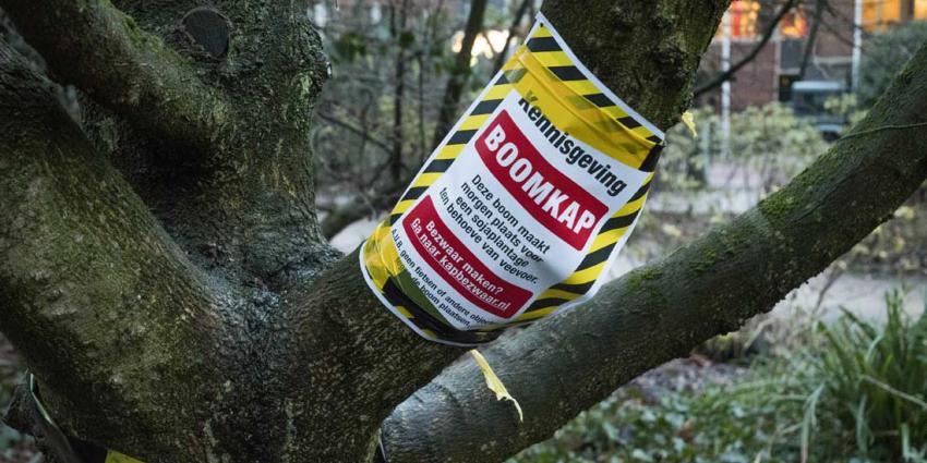 Milieudefensie merkt landelijk honderden bomen voor de kap