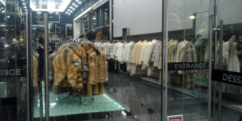 Overwinning voor de zes miljoen nertsen in Nederland! 