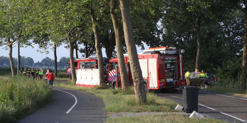 boom-aanrijding-overleden