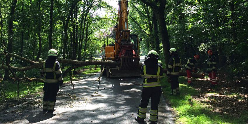 Foto van omgewaaide boom brandweer | Sander van Gils | www.persburosandervangils.nl