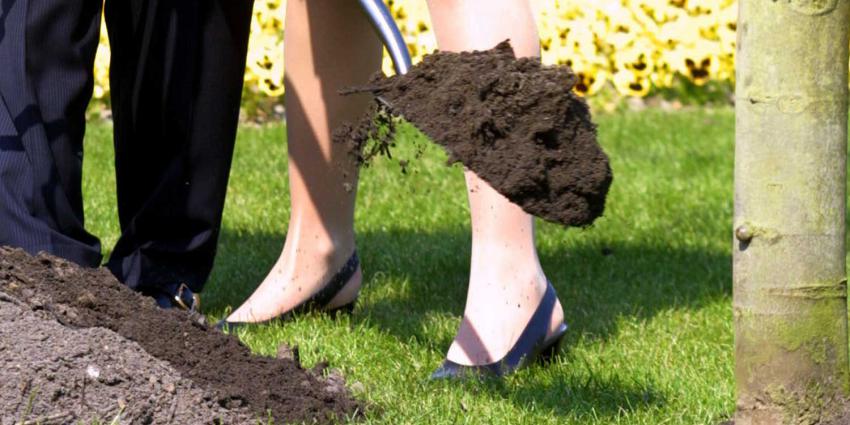 boom-planten-schep
