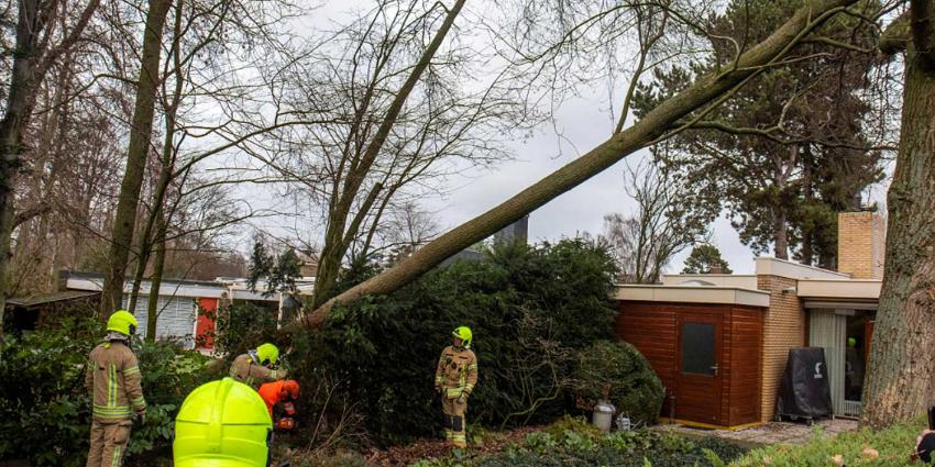 Woning 'ontsnapt' aan omgewaaide boom