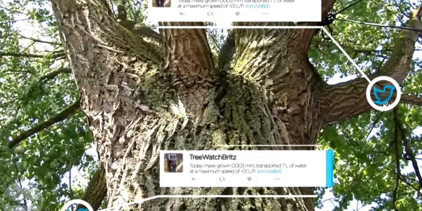 Nederlandse 'high-tec' boom twittert over klimaatverandering