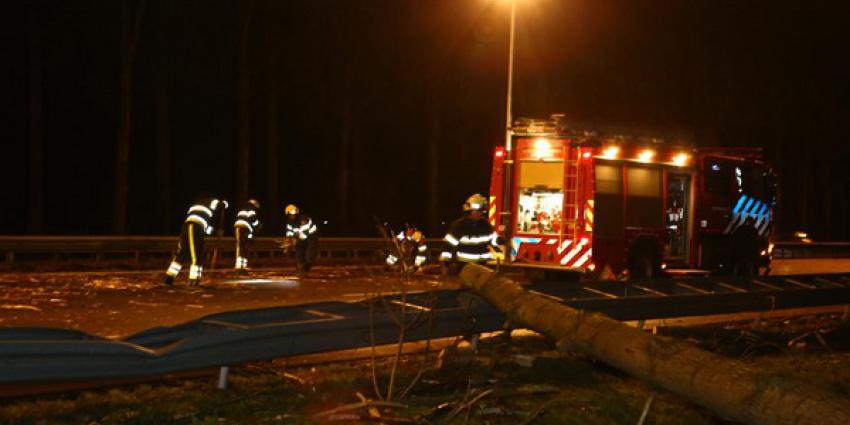 Snelweg A2 tussen Liempde en Best dicht na omgewaaide boom
