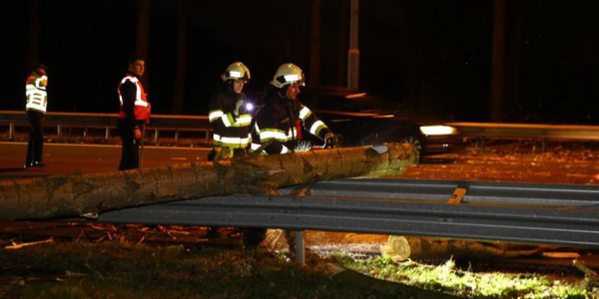 Snelweg A2 tussen Liempde en Best dicht na omgewaaide boom