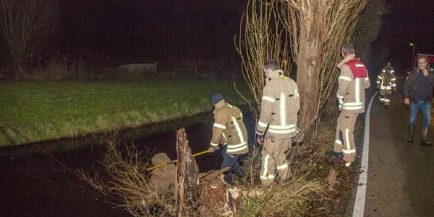 Brandweer laat boom gecontroleerd omvallen