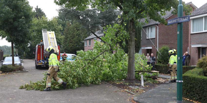 boomtak-brandweer