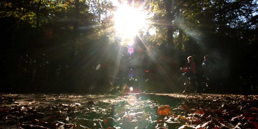 Kinderen zwaar gewond door chemisch afval in bos