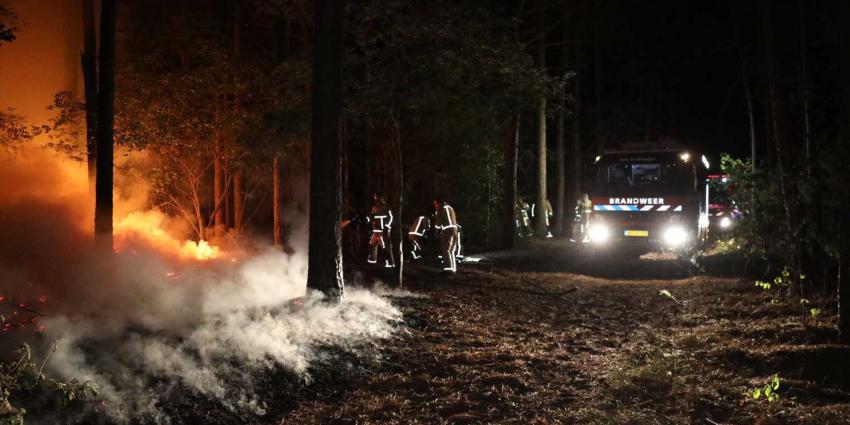 bosbrand-donker