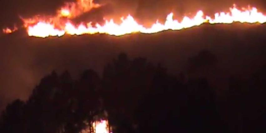 Doden door natuurbranden in Portugal en Spanje