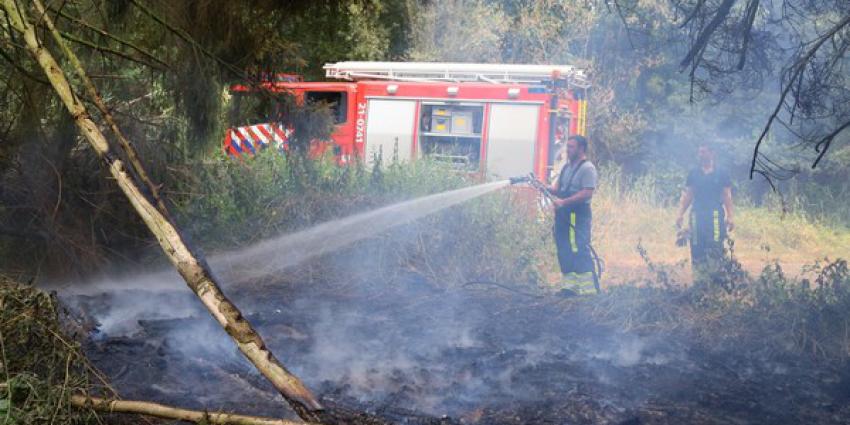 Kleine bosbrand in Boxtel moeilijk te lokaliseren maar vakkundig gedoofd door brandweer