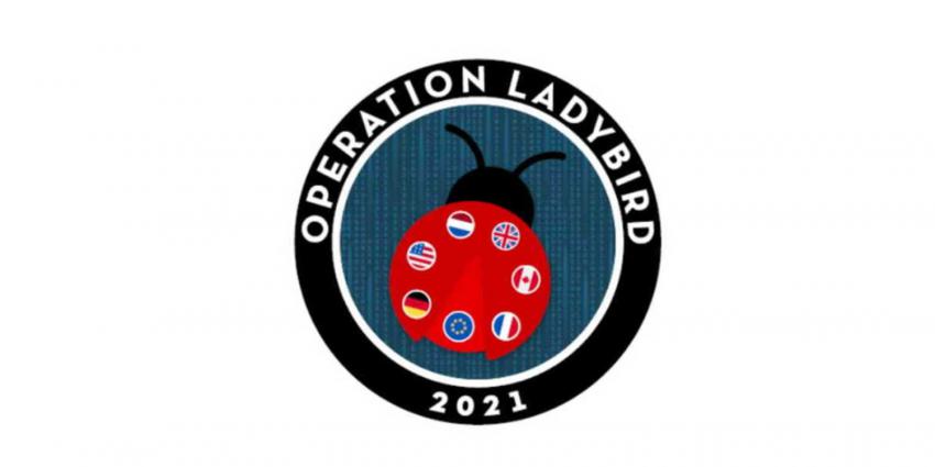 botnet-operation-ladybird
