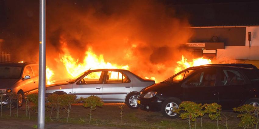 Zes auto&#039;s in vlammen op bij autobedrijf in Hoogeveen