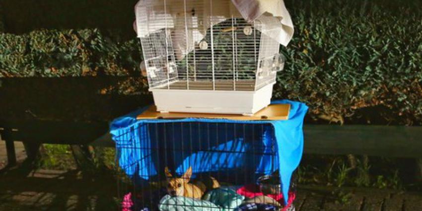 brandweer, redden, bewoners, hond, vogels, woningbrand 