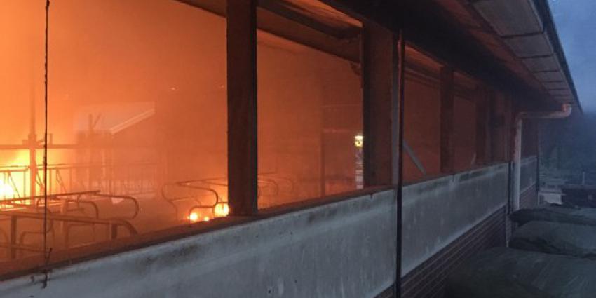Brand in melkveestal Hardenberg 