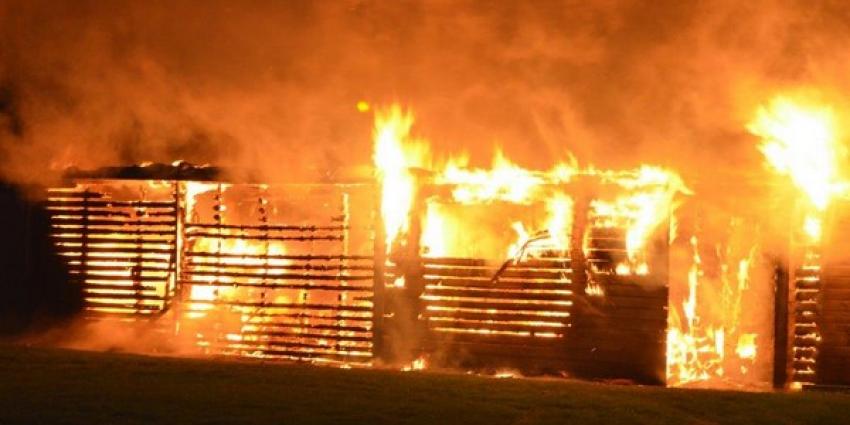 Uitslaande brand verwoest schuren in Wildervank
