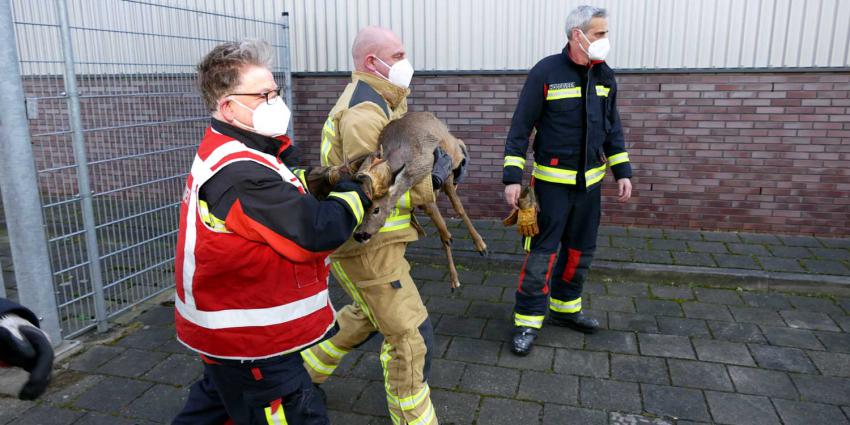 brandweer-ree
