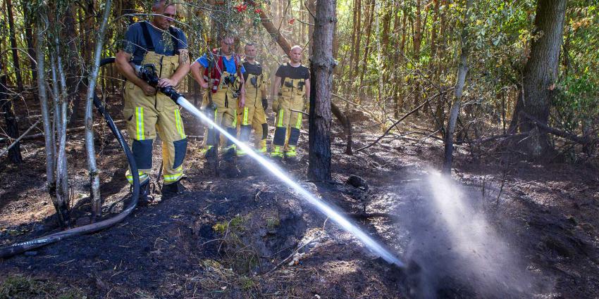 brand, droogte, storm, weer, kosten, omhoog