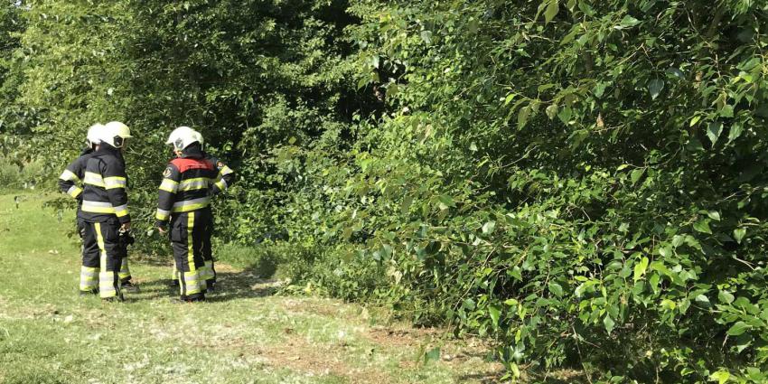 Vandalen stichten brand in bossage nabij Maastrichtsestraat in Boxtel