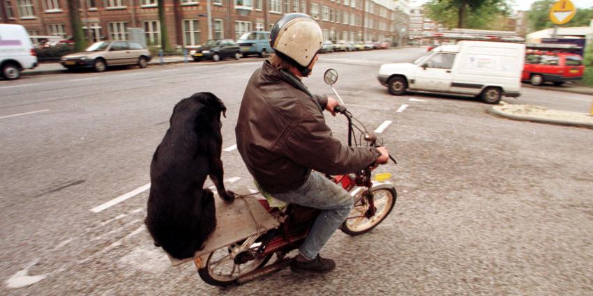 Snorfietsers vanaf 8 april 2019 met helm de rijbaan op 