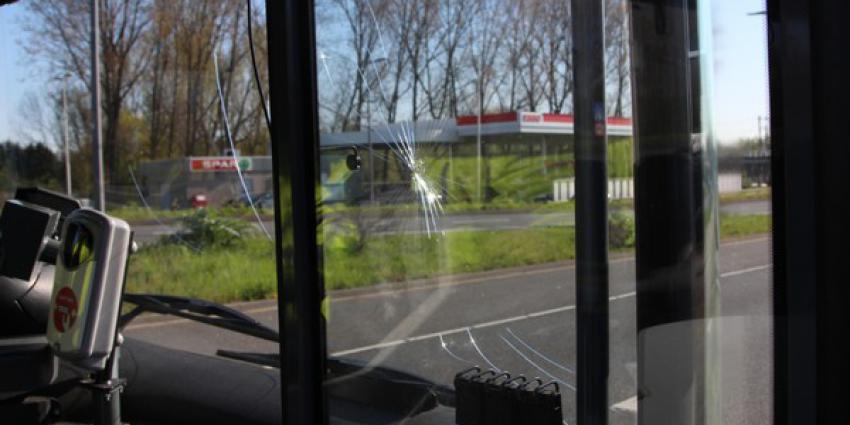 bus, botsen, boom, aanval, passagier