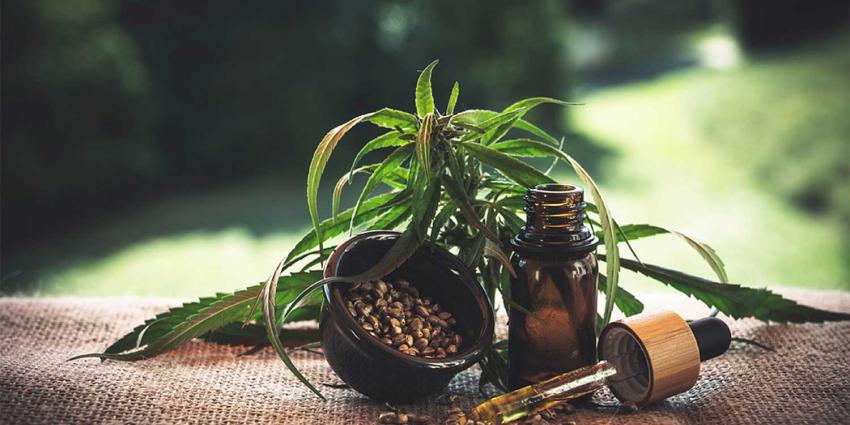 cannabis-hennep-olie