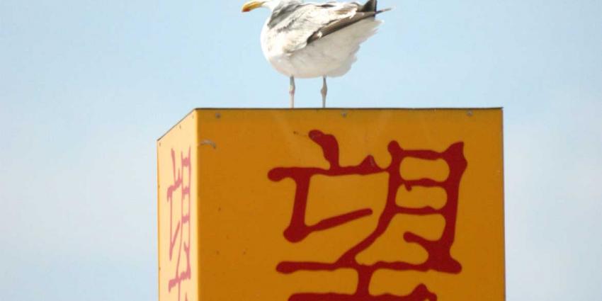 foto van Chinese restaurants | fbf