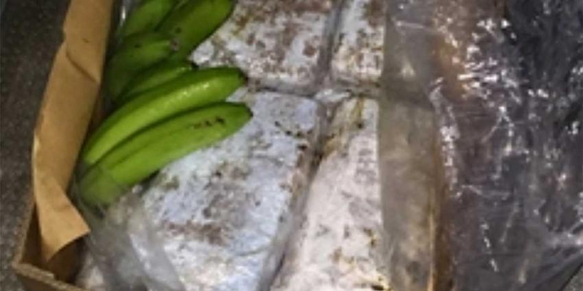 Ruim 1000 kilo cocaïne tussen lading bananen aangetroffen