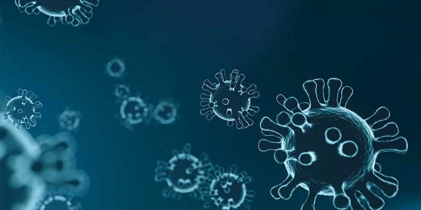 WHO: coronavirus officieel pandemie