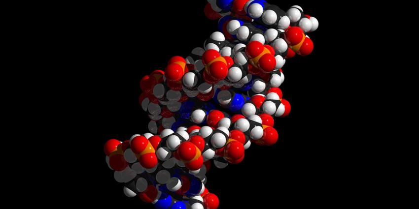 Nieuwe technieken maken structurele verschillen in DNA zichtbaar