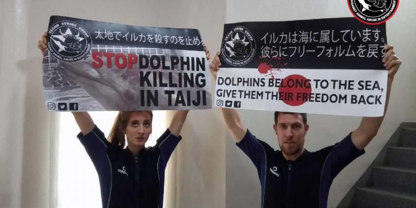 Nederlandse en Belgische dolfijnenvrienden vrijgelaten uit Japanse gevangenis