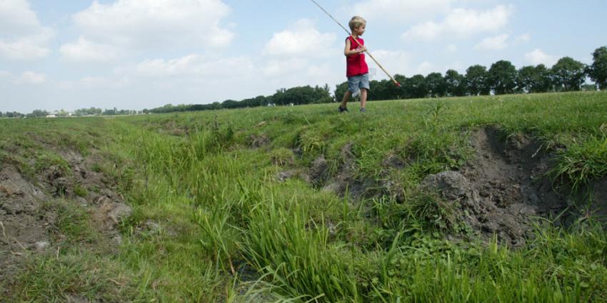 droogte, oosten van het land