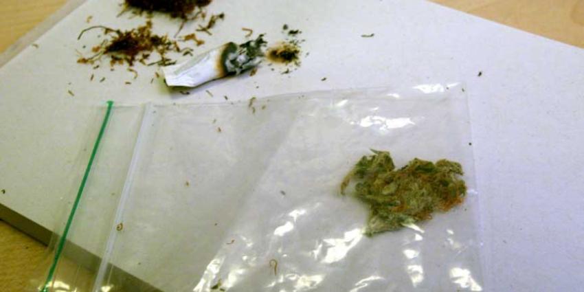 VNG: 'Haal cannabisteelt uit het illegale circuit'