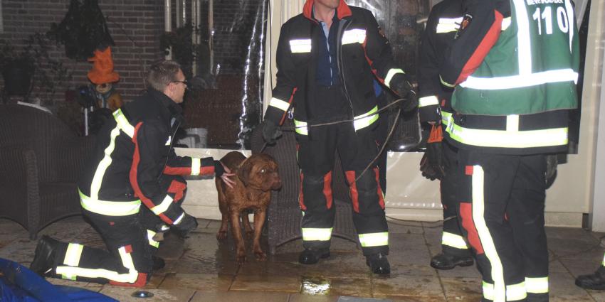 Brandweer redt hond uit zwembad in Tiendeveen