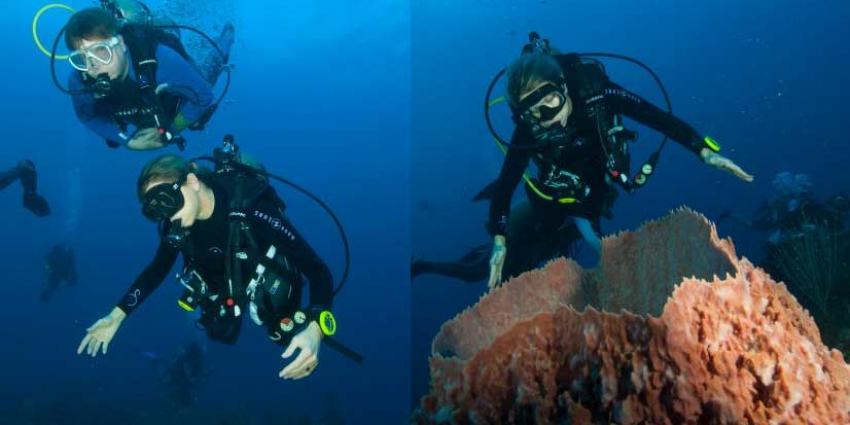 Willem-Alexander en Máxima duiken op Saba naar koraalrif