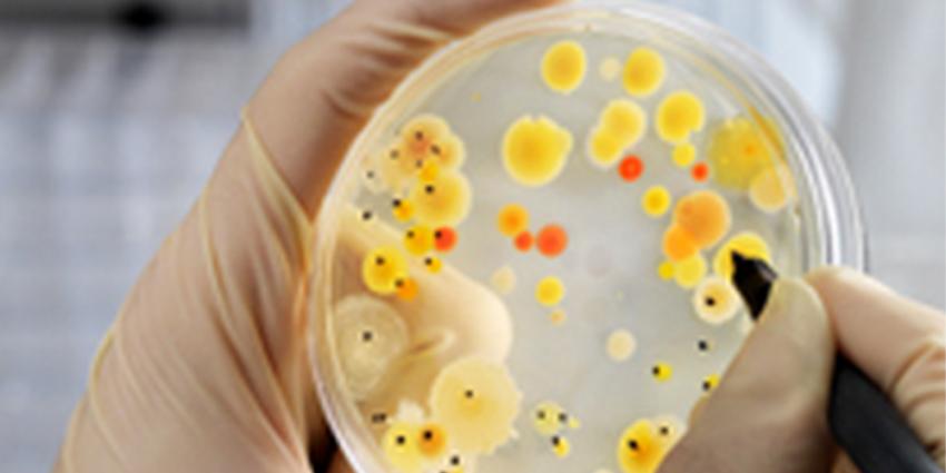 WHO waarschuwt voor twaalf bacteriën