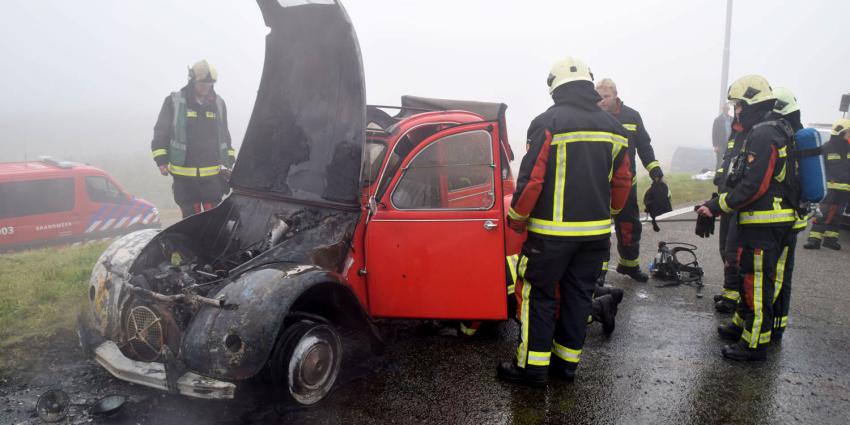Eend in de brand op dierendag