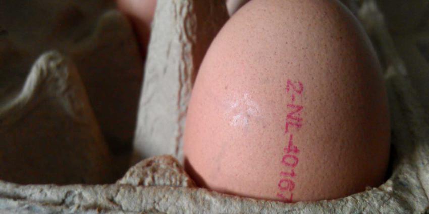 Fipronil-schade geschat op 65 tot 75 miljoen