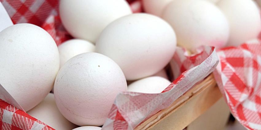 138 pluimveebedrijven dicht, alle besmette eieren uit de winkel