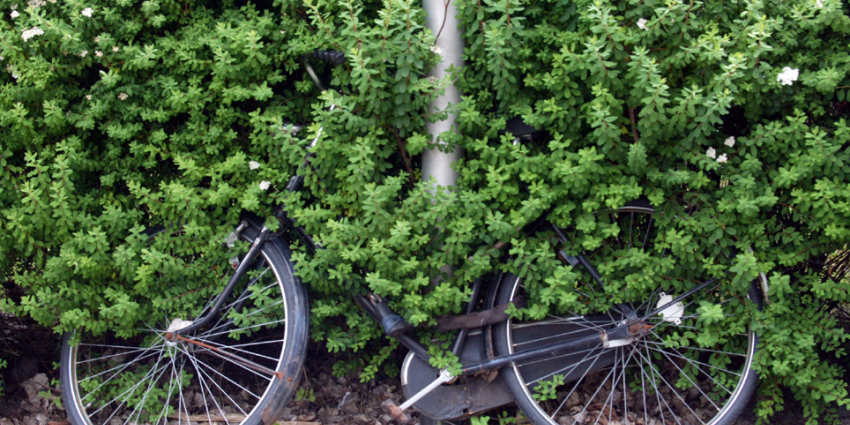 CBS: Nederlandse economie steeds groener