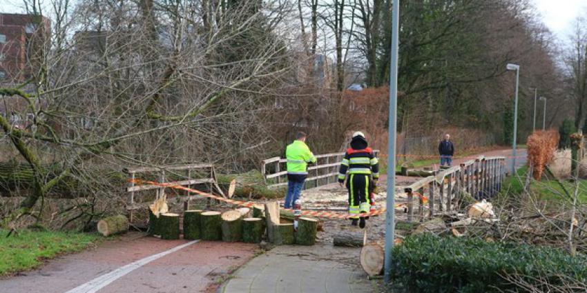 Omgewaaide boom vernielt fietsbrug in Boxtel