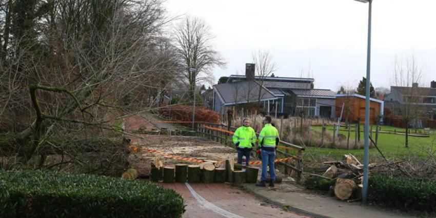 Omgewaaide boom vernielt fietsbrug in Boxtel