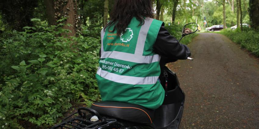 Dierenambulance op de scooter