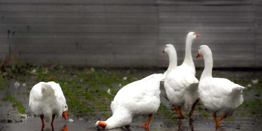 Droogte verdere afgenomen, nog aantal maatregelen noodzakelijk